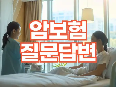 ��� �����亯