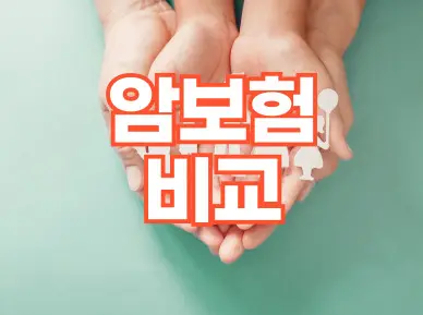 �Ϻ���񱳻���Ʈ